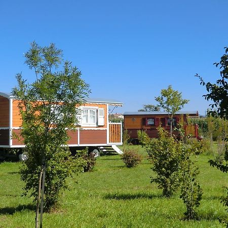 Les Roulottes-Gites De La Ferme De L'Autruche Dromoise Livron-sur-Drôme Buitenkant foto